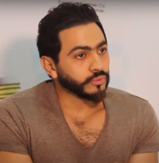تامر حسنی