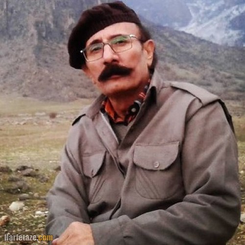 سیروس سپهری