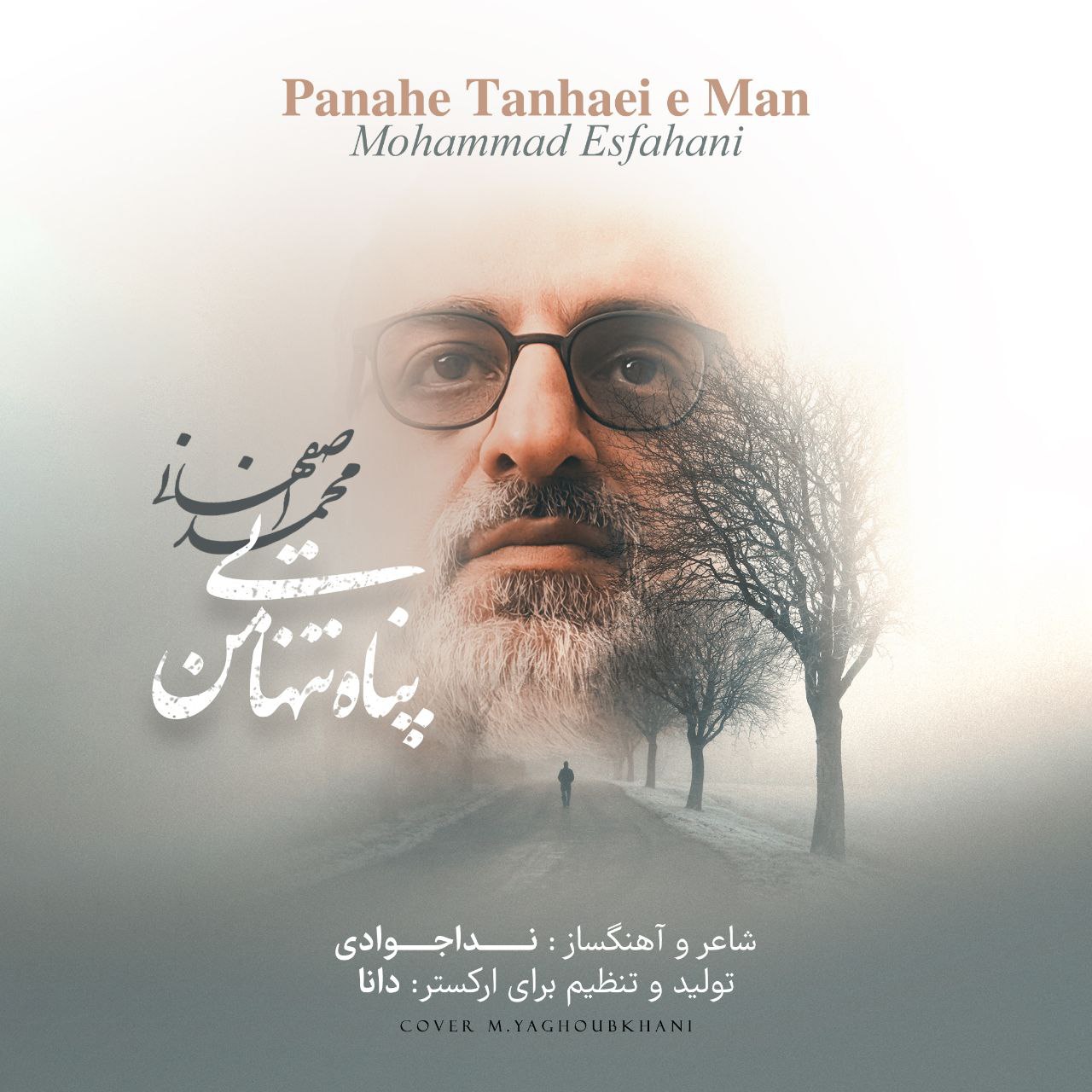 محمد اصفهانی- پناه تنهایی من