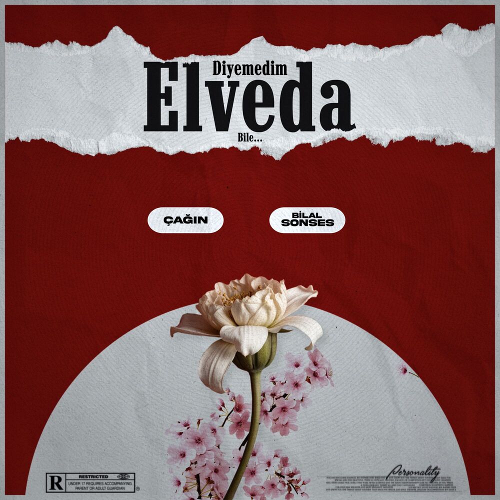 Bilal Sonses-Diyemedim Elveda