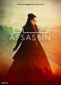 قاتل - The Assassin 2015