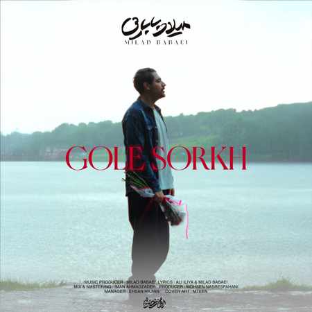 میلاد بابایی- گل سرخ
