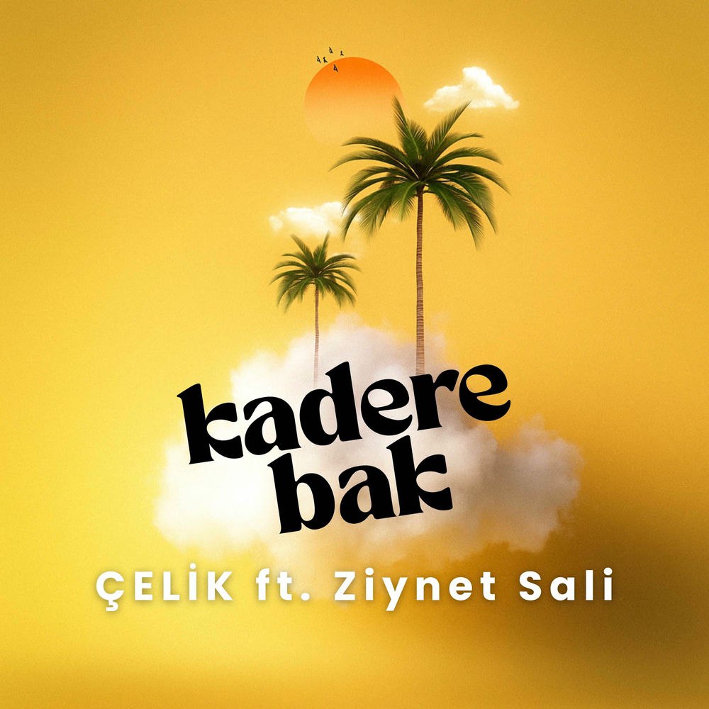 Celik feat. Ziynet Sali – Kadere Bak